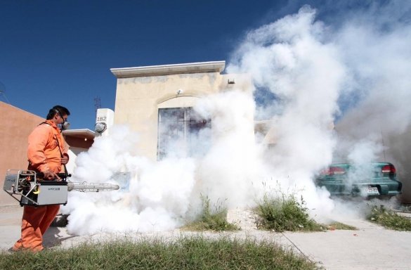 Alertan 327 casos de dengue en Coahuila; 162 solo en Múzquiz