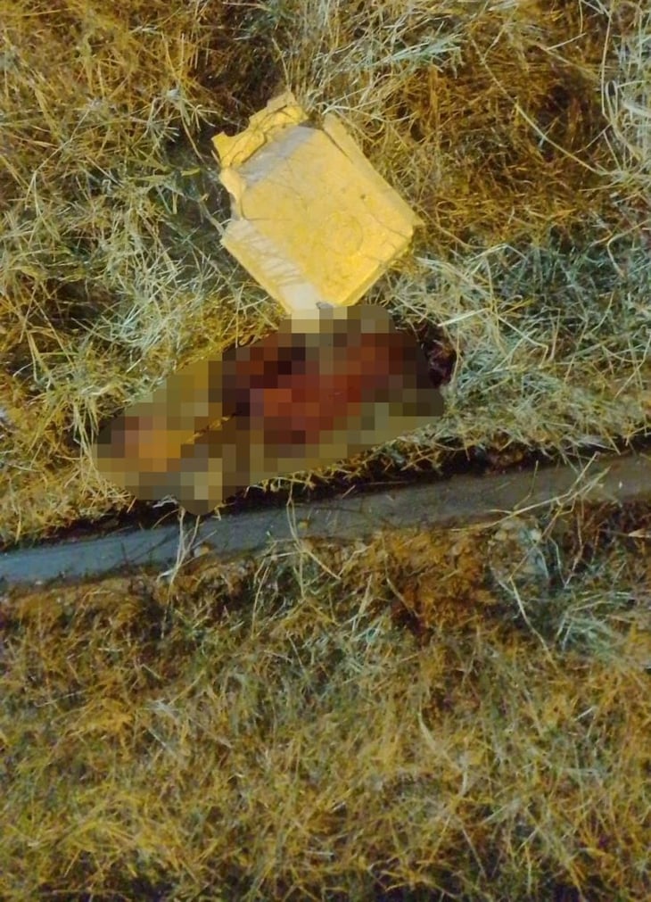 Mujer muere arrollada por el tren en Torreón; FGE investiga el caso