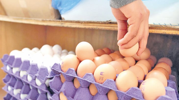Por gripe aviar subirá precio del huevo, pollo y pavo