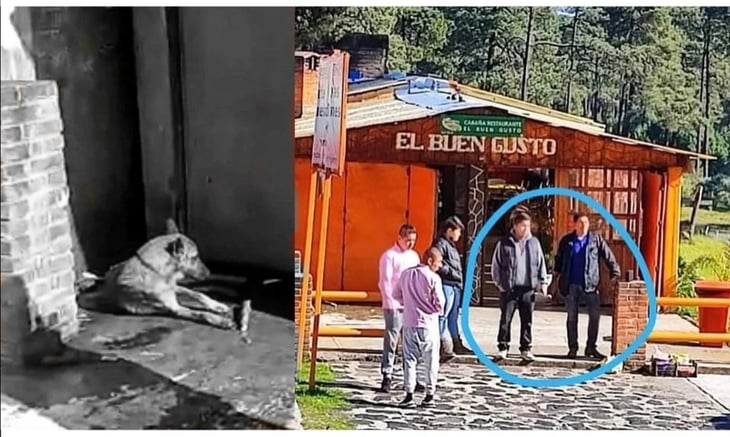 Video: Apalean y matan a perro en restaurante del Ajusco; Salinas Pliego se suma a denuncia