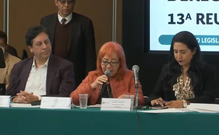 Comparece Rosario Piedra Ibarra, titular de CNDH, ante diputados; acusa mentiras contra su traba