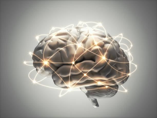 ¿Cómo puedo regenerar las neuronas del cerebro?