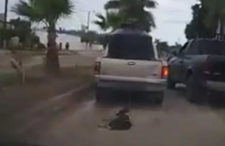 VIDEO: Hombre arrastra con su camioneta a perrito amarrado; exigen justicia para 'Zorrillo' en Sonora