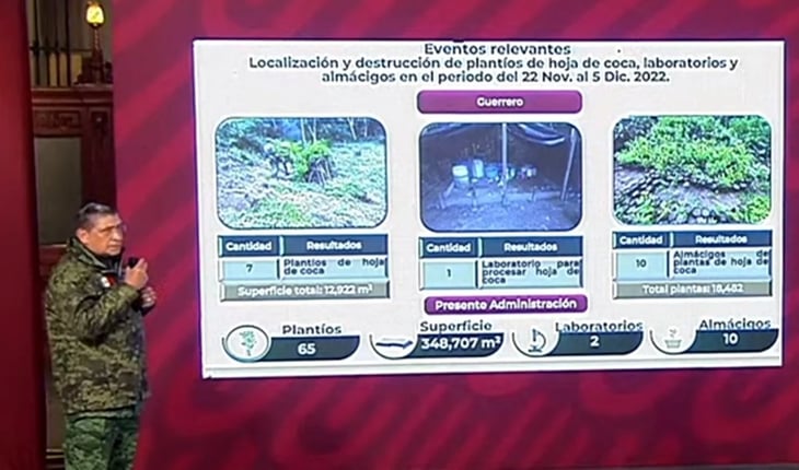 En 4 años se han detectado 65 plantíos de hoja de coca en Guerrero: Sedena
