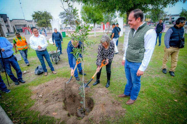 Vidriera de Coahuila dona 200 encinos al municipio