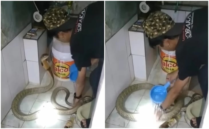 Video: Joven se hace viral al bañar a su serpiente como si fuera un perro