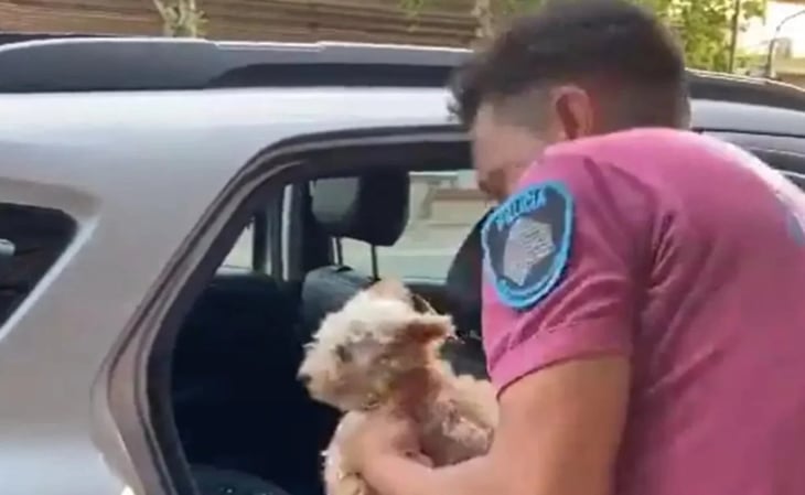 ¡Héroe!: Policía rompe ventanilla de auto en Argentina y rescata a lomito encerrado a 38 grados de temperatura
