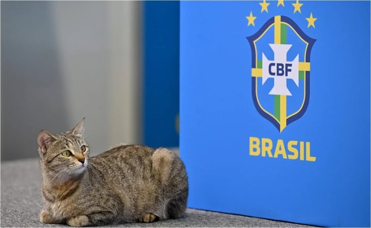 La selección de Brasil, multada por maltrato animal