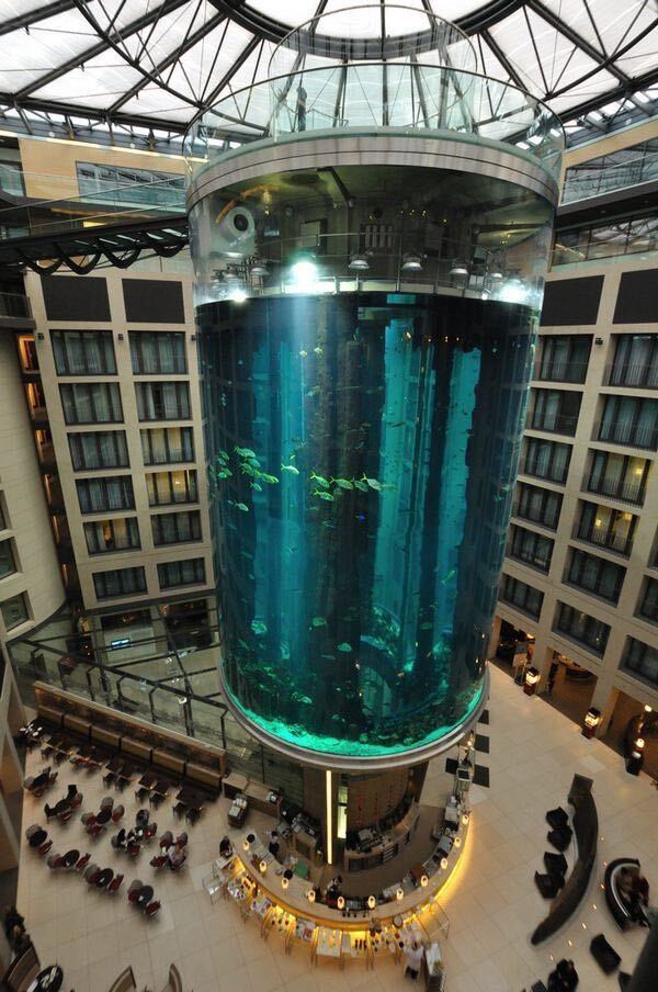 Revienta el mayor acuario cilíndrico del mundo y mueren sus 1.500 peces en Berlín