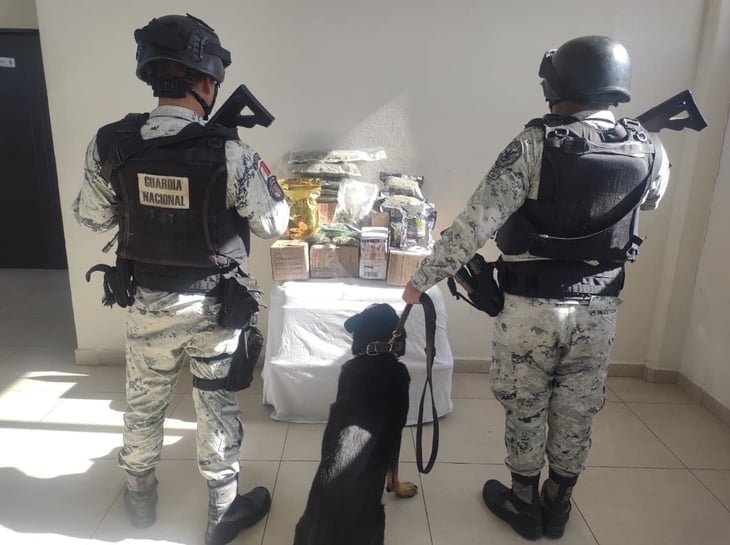 Guardia Nacional localiza paquetes con marihuana en Coahuila