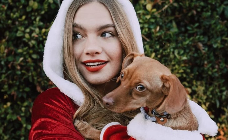 Regalos de Navidad con mucho estilo para tu perro
