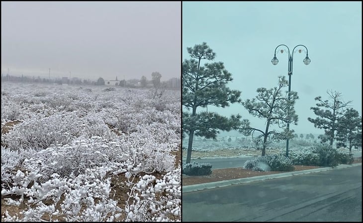 Caída de nieve y aguanieve “pintan de blanco” varios municipios de Coahuila