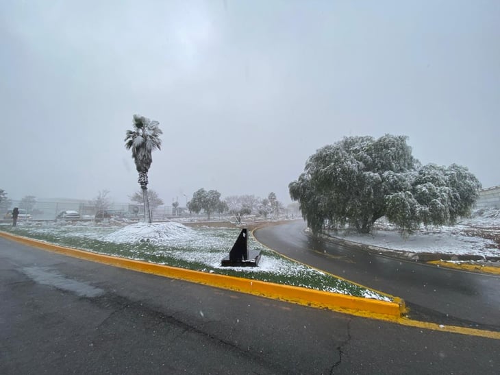 Ligera nevada viste de blanco a Ramos Arizpe y Saltillo