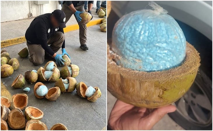 Vinculan a proceso a dos personas por transportar fentanilo en cocos