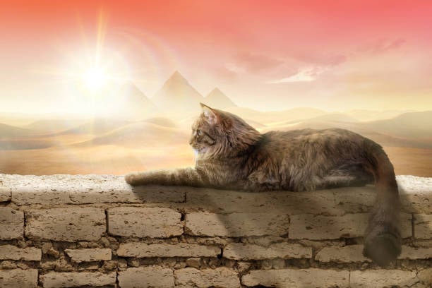 ¿Porqué admiraban a los gatos los egipcios?