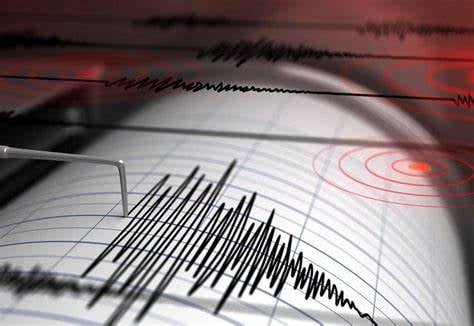 Sismo de magnitud 4.8 sacude Coalcoman, Michoacán