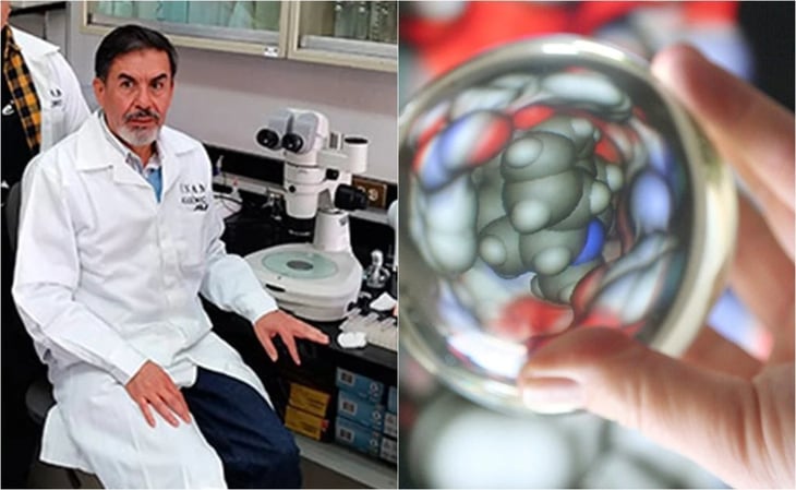 Investigador de la UNAM descubre molécula que combatiría a la obesidad