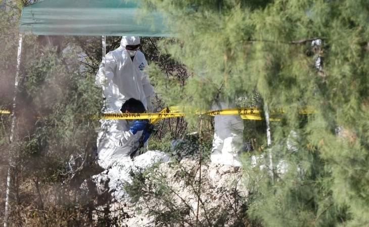 Hallan seis cuerpos en fosas clandestinas en Zitácuaro, Michoacán