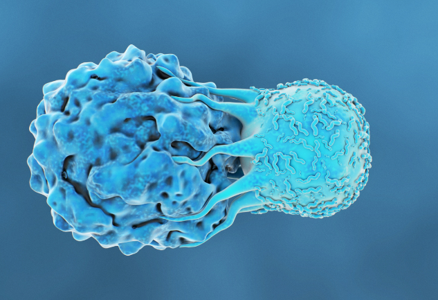 Vacuna experimental contra el cáncer: células cancerígenas traicionen a sus semejantes
