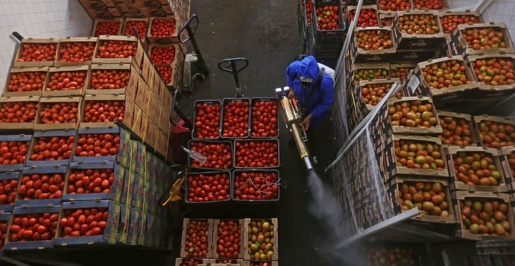 México amplía la exención de aranceles en alimentos