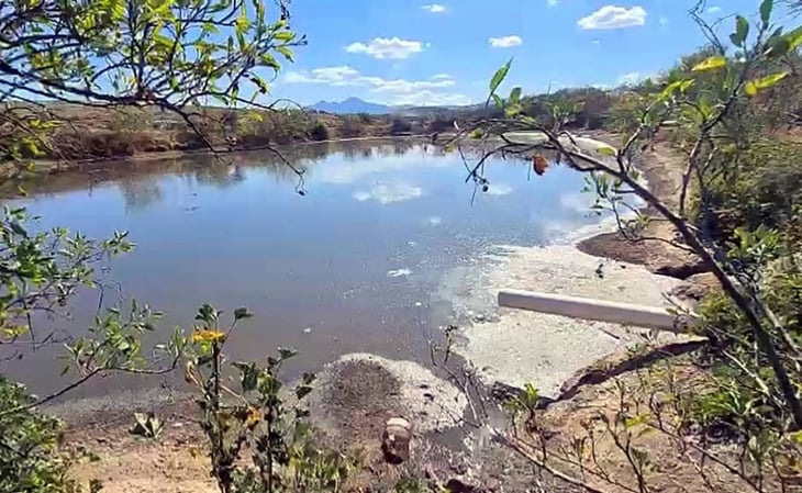 Piden investigar a granja porcícola de Puebla por tirar aguas negras en lagunas artificiales en Oaxaca