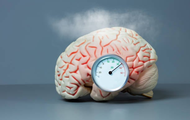 ¿Qué le pasa a nuestro cerebro ante las altas temperaturas?