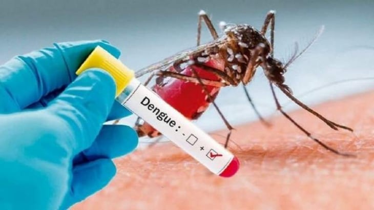 Múzquiz en 2023 es el primer lugar en casos de dengue y PN el segundo