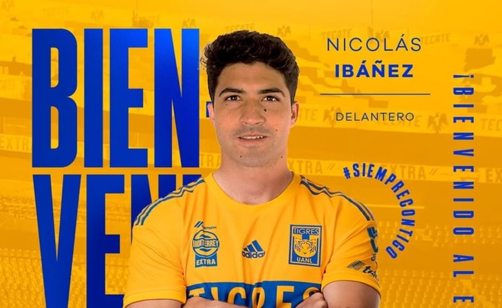 ¡Oficial! Nico Ibáñez es nuevo jugador de Tigres