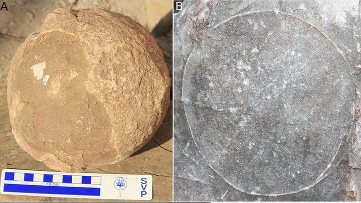 Cerca de 100 nidos de titanosaurio, completos con huevos fosilizados, encontrados en la India
