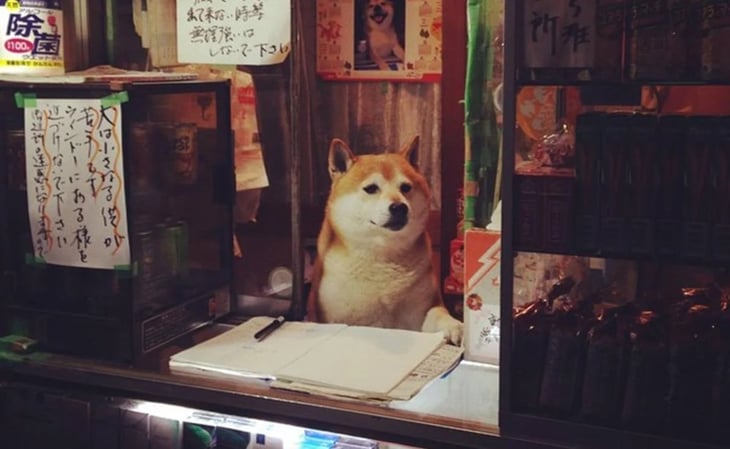 Esta es la historia del perrito que atiende una tienda en Japón