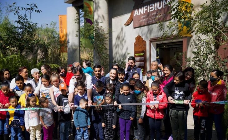 Para conservar al ajolote, Sheinbaum inaugura 'Anfibium' en Chapultepec