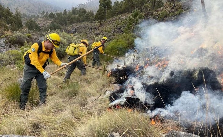 Incendio forestal consume 30 hectáreas en el Parque Nacional Pico de Orizaba