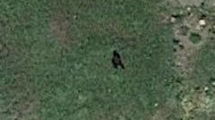 ¿Será Bigfoot? Aparece silueta en satélite de Google Earth 