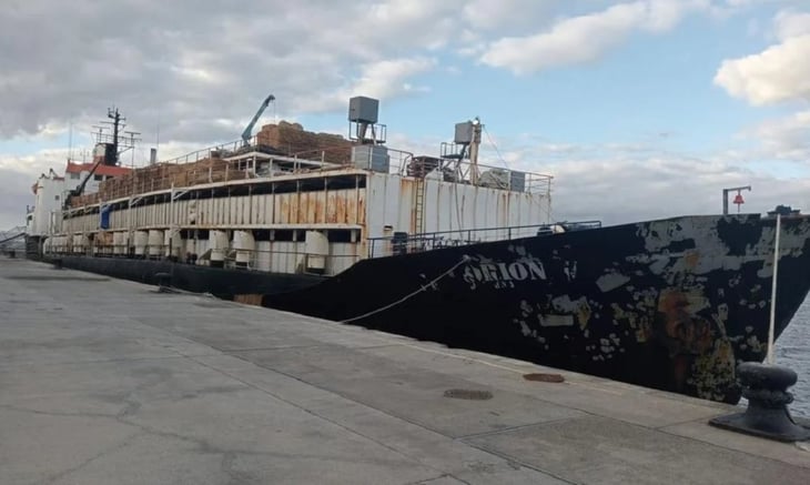 Hallan 4.5 toneladas de cocaína en barco que llevaba mil 750 vacas colombianas