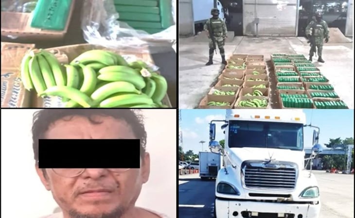 Ejército y GN aseguran tráiler que transportaba cajas de plátano con 213 kilogramos de cocaína