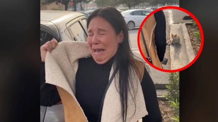 Mujer rompe en llanto por no poder rescatar a un gatito de la calle