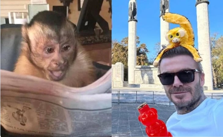 David Beckham es víctima de los memes por su visita a la CDMX