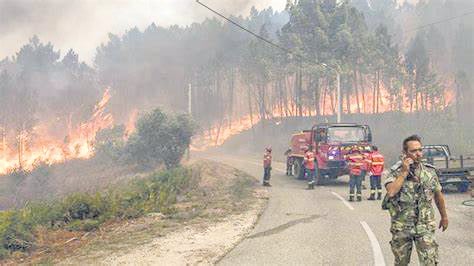 En Estado de catástrofe se declara Chile por 150 incendios forestales