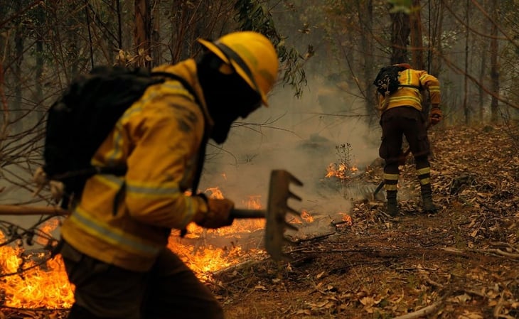 Chile pide ayuda a México, Brasil, Argentina, Uruguay y España por incendios
