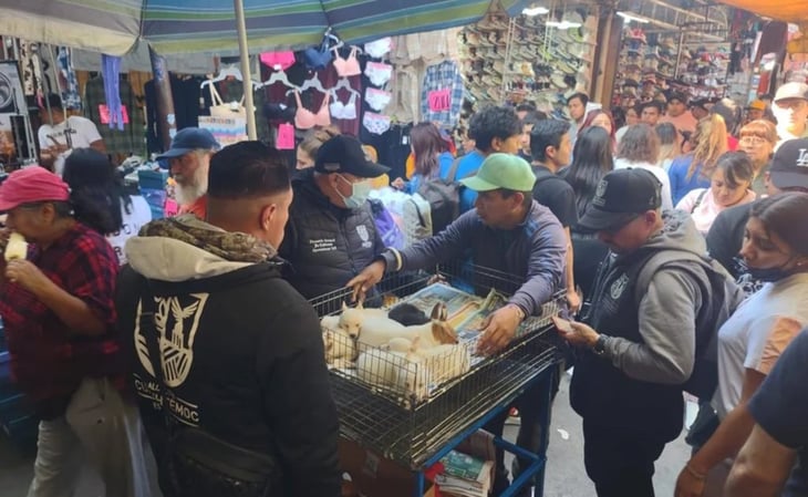 Denuncian venta de animales de compañía en Tepito