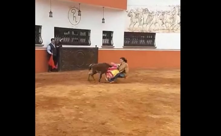 VIDEO: Por hacerle a la torera, senadora de Morena es embestida; aclara origen de las imágenes