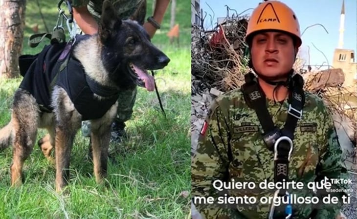 VIDEO: 'Nos volveremos a ver': entrenador se despide de Proteo, perro rescatista en Turquía