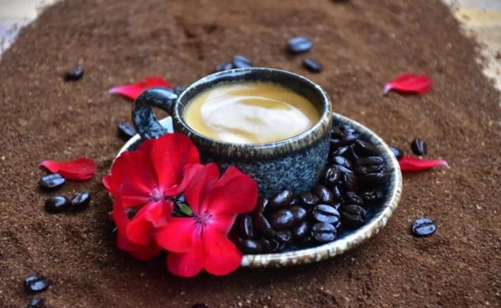 Capacitará SiKanda a productores en Oaxaca para dar valor agregado al café