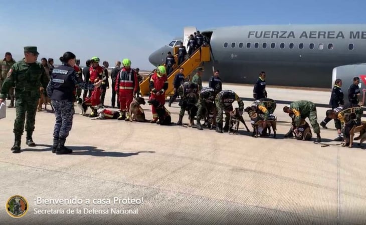 ¡Bienvenidos! Llegan al AIFA rescatistas y binomios caninos, tras misión de rescate en Turquía