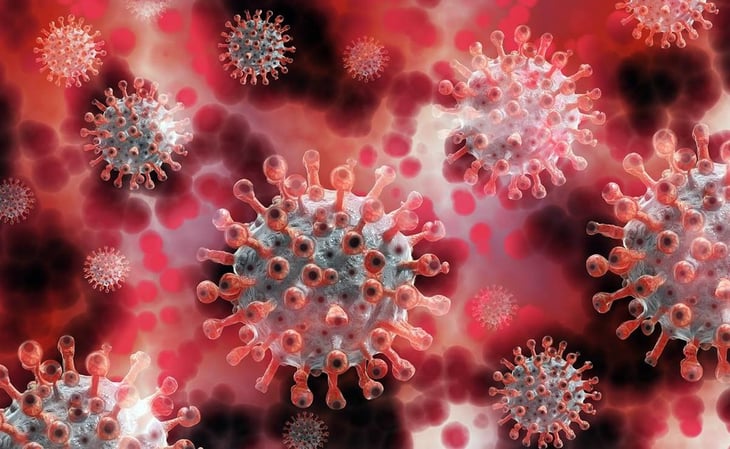 Contagiarse de Covid-19 da inmunidad por meses contra todas las variantes, señala estudio