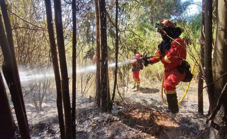 Incendios reviven con fuerza en sur de Chile y gobierno reconoce preocupación