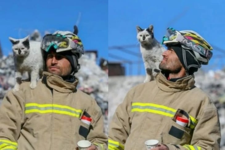 ¿Los mejores amigos? Enkaz, gatito rescatado en Turquía, tiene nuevo dueño