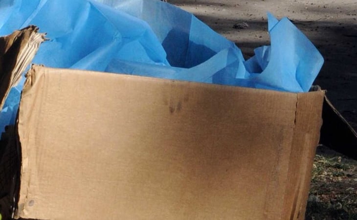 Binomio canino halla restos óseos en caja de cartón de empresa mensajera en Hidalgo