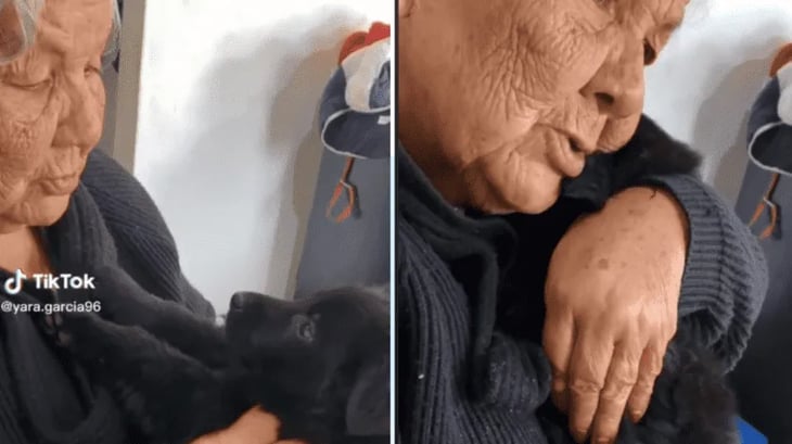 Abuelita regaña a su perrito por travieso y comienza a llorar: 'Es por tu bien 'Pancho''