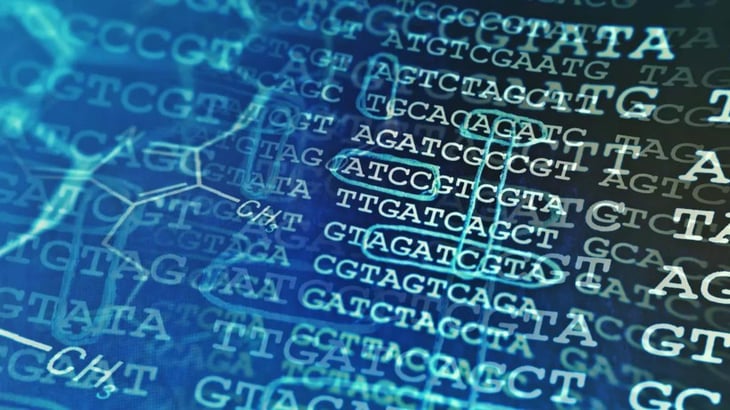 Roban los datos de millones de personas a una empresa de análisis de ADN se había olvidado que los tenía